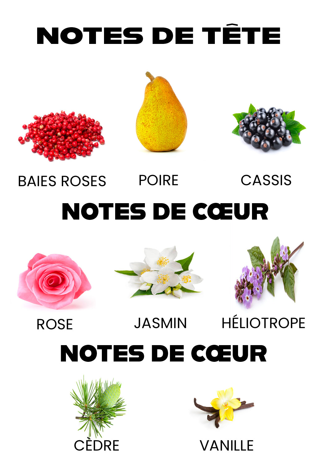 Cassandra Rose Rouge – Eau de Parfum 100 ML