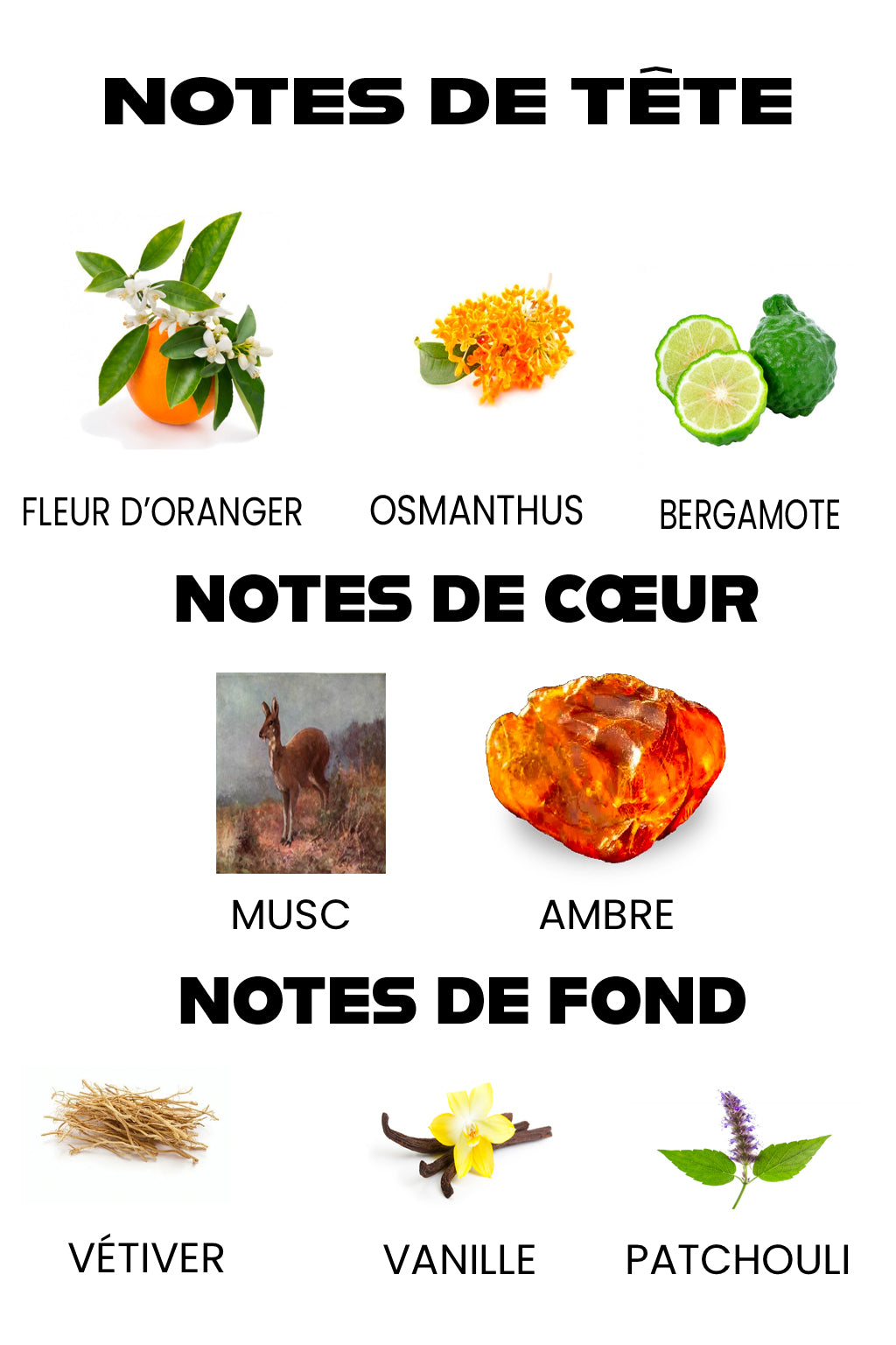 Coffret 3 Pièces Diana Castel