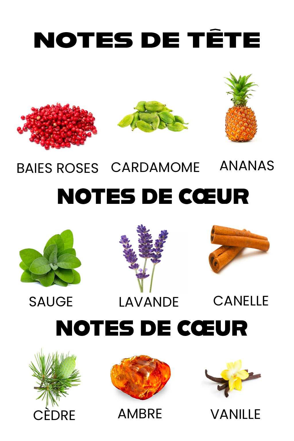 Prodigio – Eau de Parfum  Homme | Boisé | 100 ML